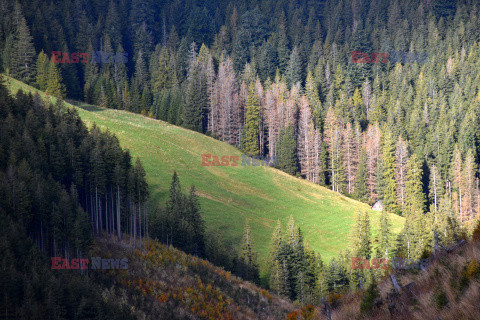 Polskie Tatry Albin Marciniak