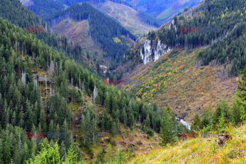 Tatry polskie Albin Marciniak