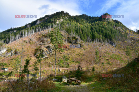 Polskie Tatry Albin Marciniak