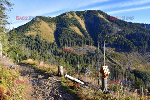 Tatry polskie Albin Marciniak