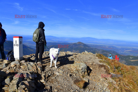 Polskie Tatry Albin Marciniak