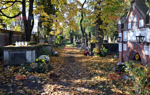 Dzień Wszystkich Świętych