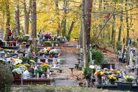 Dzień Wszystkich Świętych