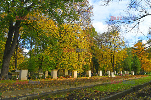 Dzień Wszystkich Świętych