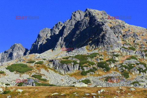 Polskie Tatry Albin Marciniak