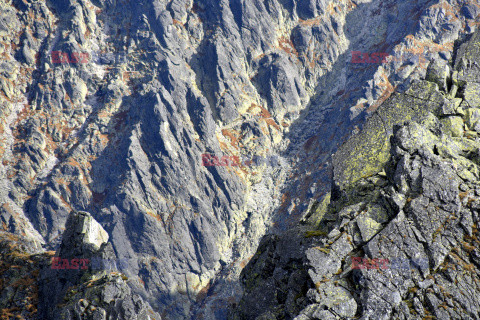 Polskie Tatry Albin Marciniak