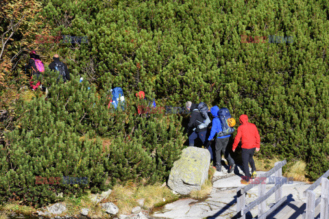 Polskie Tatry Albin Marciniak