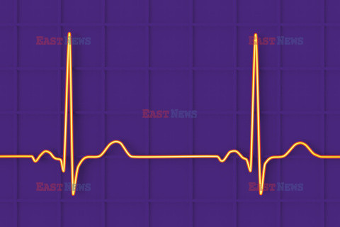 SPL RF Oct 2023