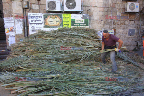 Przygotowania do święta Sukkot w Jerozolimie