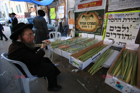 Przygotowania do święta Sukkot w Jerozolimie