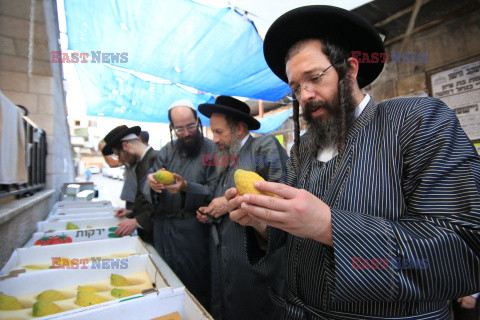 Przygotowania do święta Sukkot w Jerozolimie