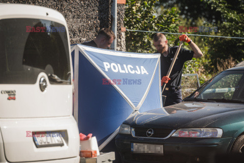 Zwłoki noworodków w piwnicy domu w Czernikach