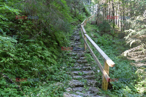 Polskie Tatry Albin Marciniak