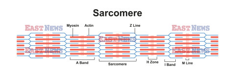 SPL RF Sep 2023