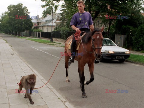 Reporter Poland 2002