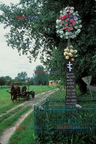 Reporter Poland 2002