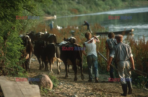 Reporter Poland 2002