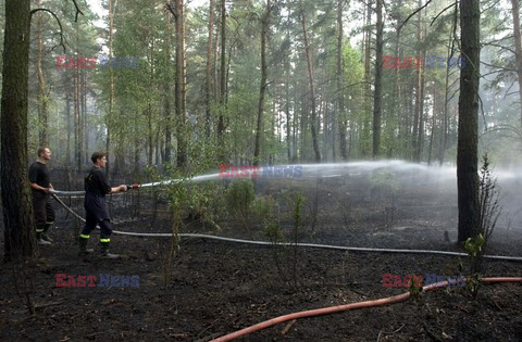 Reporter Poland 2003