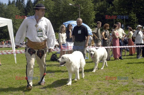 Reporter Poland 2003