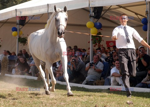 Reporter Poland 2003