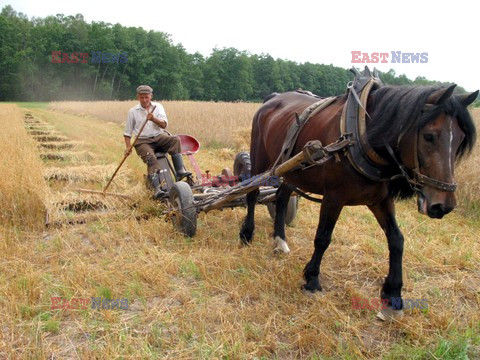 Reporter Poland 2003