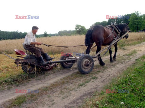 Reporter Poland 2003