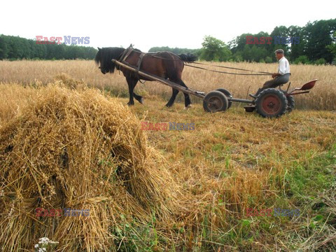 Reporter Poland 2003