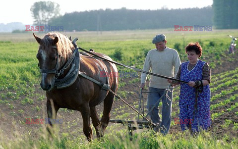 Reporter Poland 2004