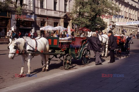 Reporter Poland 2005