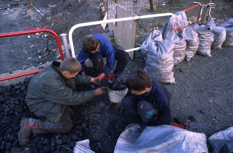 Reporter Poland 2005