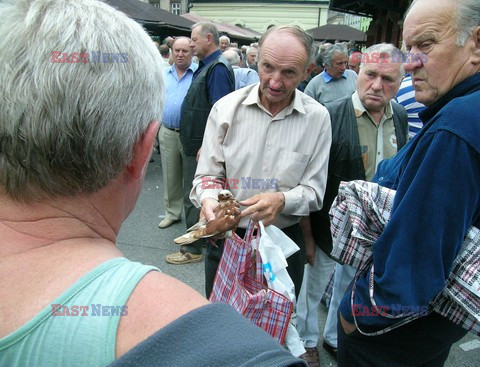 Reporter Poland 2005