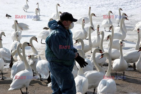 Reporter Poland 2006