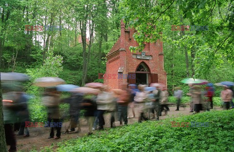 Reporter Poland 2006