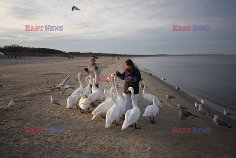 Reporter Poland 2008