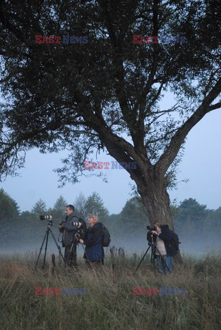 Reporter Poland 2007