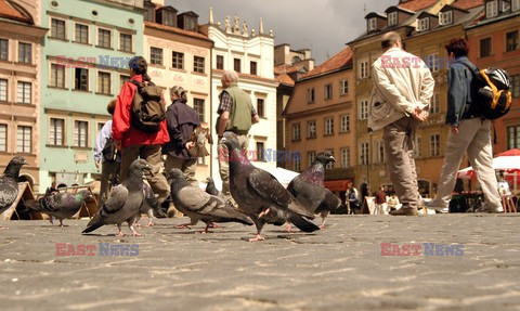 Reporter Poland 2007