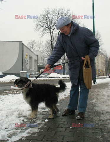 Reporter Poland 2007