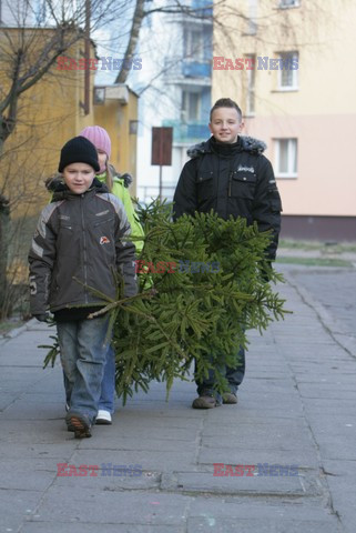 Reporter Poland 2007