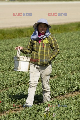 Reporter Poland 2008