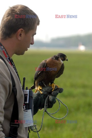 Reporter Poland 2008