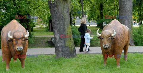 Reporter Poland 2008