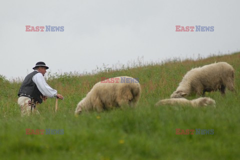 Reporter Poland 2008