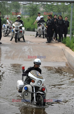 Reporter Poland 2008