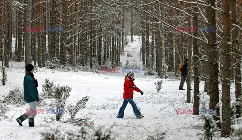 Reporter Poland 2009