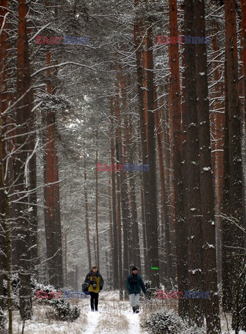 Reporter Poland 2009