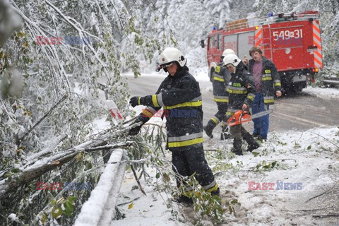 Reporter Poland 2009