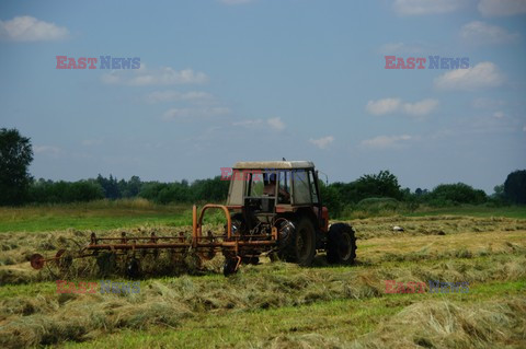 Mazowsze Marek Bazak