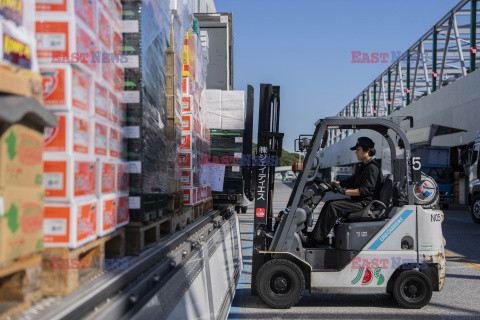 Branża transportowa w Japonii - NYT