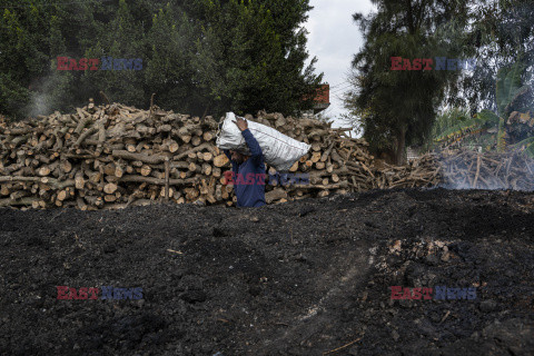 Produkcja węgla drzewnego w Egipcie - Nur Photo