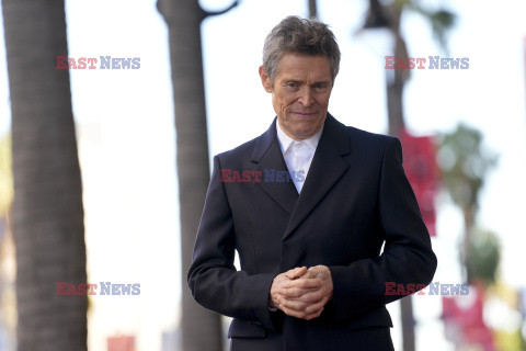 Willem Dafoe otrzymał gwiazdę na Bulwarze Sławy